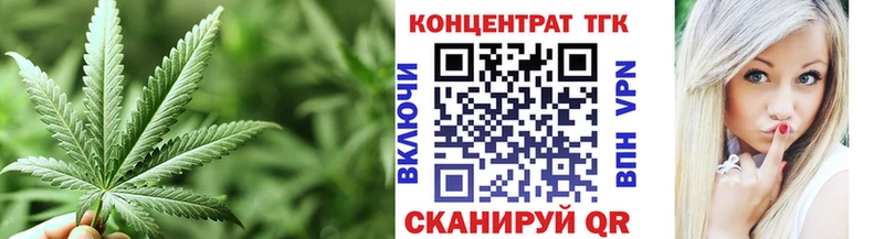 как найти Бирюч ТГК концентрат